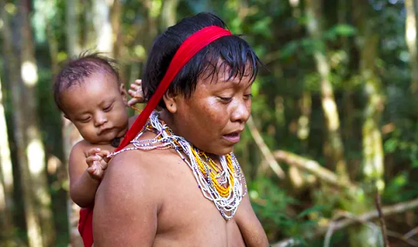 Yanomami: A luta dos povos indígenas tem tudo a ver com o seu programa de diversidade