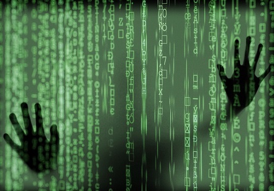 Liberdade digital e desinformação