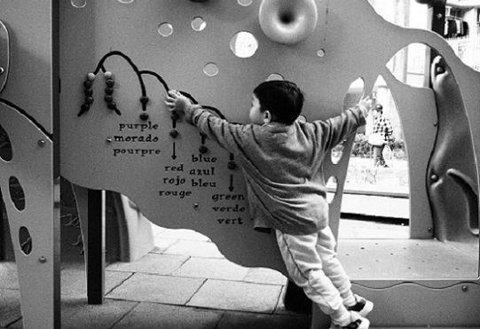 A inteligência nasce no corpo